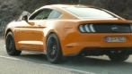 Mustang 5.0 V8 and 2.3 EcoBoost